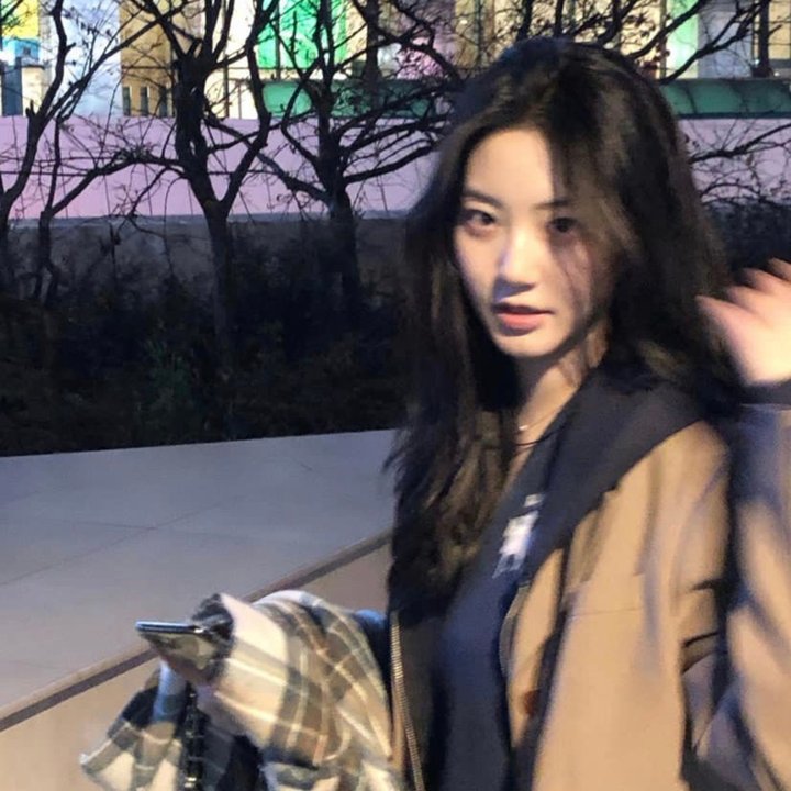 动物狂想曲第二季